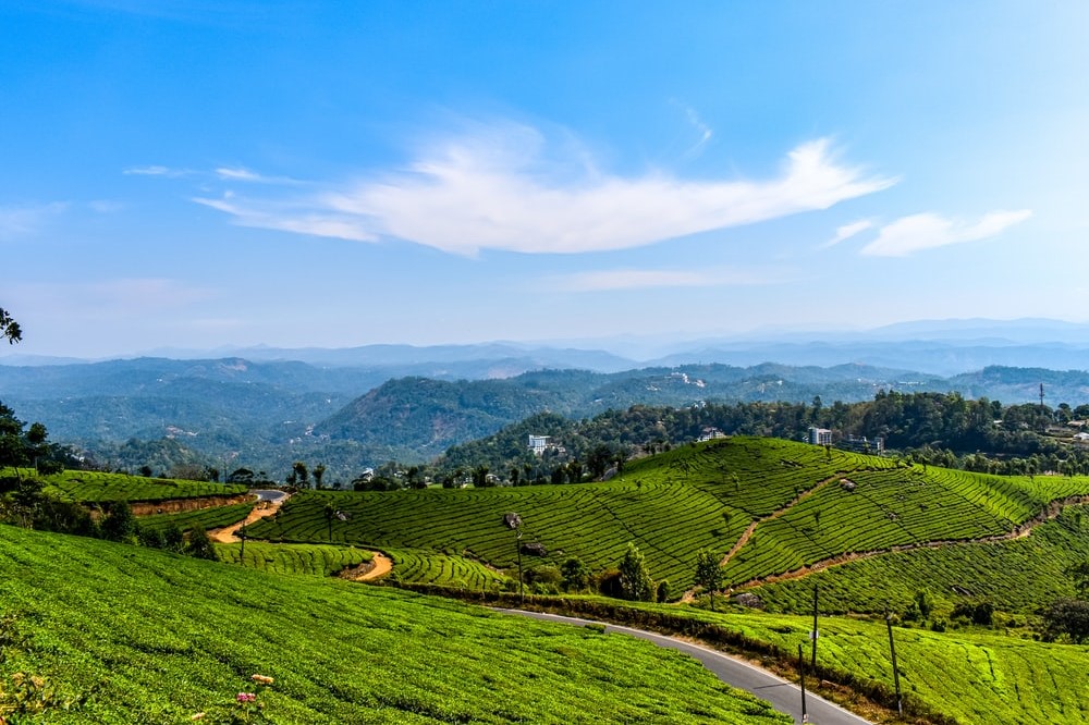 Munnar Thekkady Alleppey Honeymoon Tour