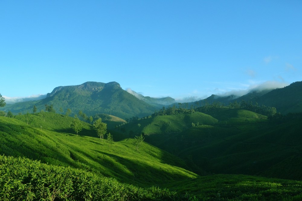 Munnar Thekkady Kovalam Tour